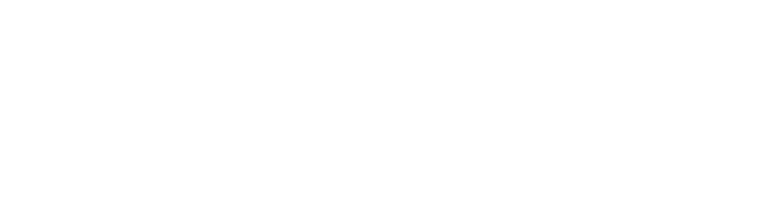 Le logo de la Fondation de l'Audit Interne